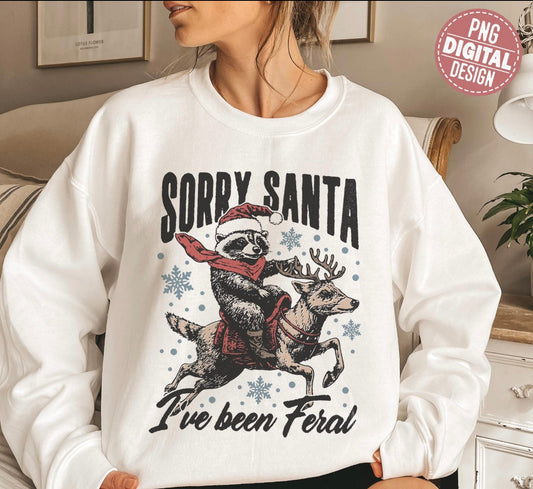 Sorry Santa