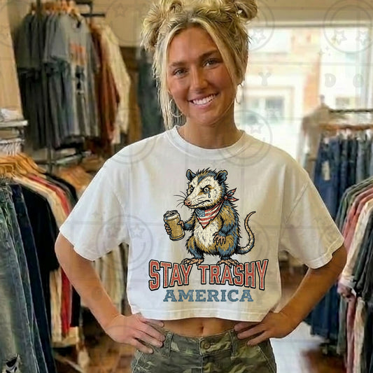 Stay trashy America (comfort color mock)